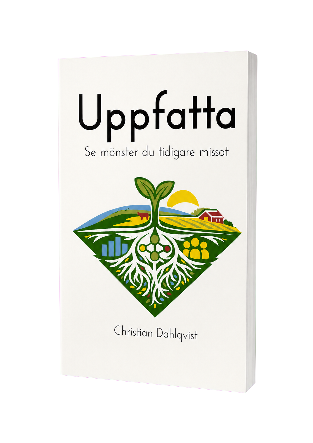 Uppfatta – Se mönster du tidigare missat