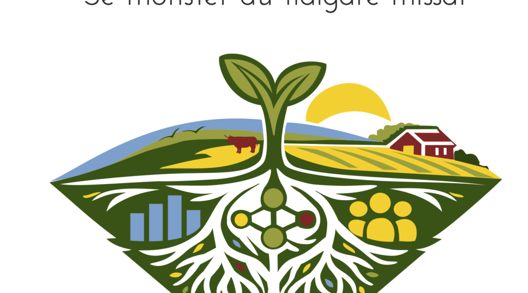 Uppfatta - Se mönster i det du tidigare missat - Boken